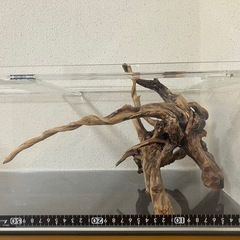 アクアリウム用流木の画像