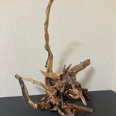 アクアリウム用流木の画像