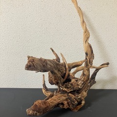 アクアリウム用流木の画像