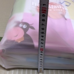 とっても大きなレジャーシート　の画像