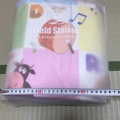 とっても大きなレジャーシート　の画像