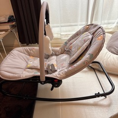 ベビーバウンザーの画像