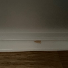 【お取引中】
収納ボックス②の画像