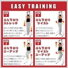 ぶらさがり健康器具　色redblack　現金可の画像