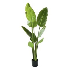 フェイクグリーン　ニトリ　トラベラーズパームの画像