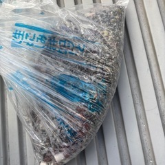 水槽用の小石、よかったらどうぞの画像