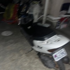 ホンダ ライブディオ AF35の画像