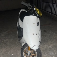 ホンダ ライブディオ AF35の画像