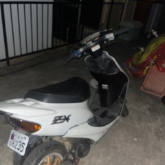 ホンダ ライブディオ AF35の画像