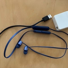 SONY ワイヤレスイヤホン　WI-C310ソニーの画像