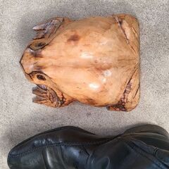 木のカエル🐸の画像