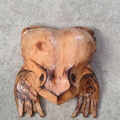 木のカエル🐸の画像