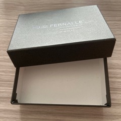 ミニ　ケース　箱　FU-SI FERNALLEの画像