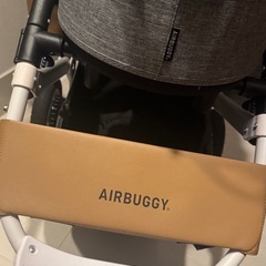 エアバギー DOME3 レギュラーの画像