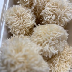 毛糸のポンポン16個の画像