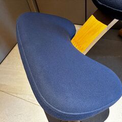 【正規品】バランス イージー ネイビー（サカモトハウス）｜使用少・美品｜付属品完備｜姿勢改善バランスチェアの画像