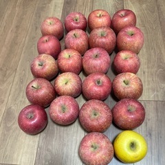 りんご2個の画像