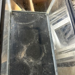 小さい水槽の画像