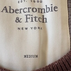 美品★正規品★アバクロコットン春セーターM★ムース刺繍の画像