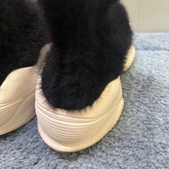 DOUBLE STANDARD CLOTHING ファー　スニーカー　厚底　23-24cmくらいの画像
