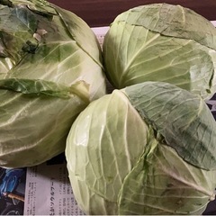 赤ワインとおまけキャベツの画像