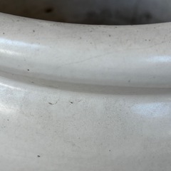 陶器の大きな金魚鉢（睡蓮鉢）の画像