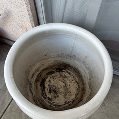 陶器の大きな金魚鉢（睡蓮鉢）の画像