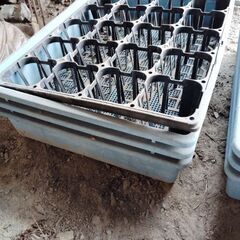 プラスチック製の穴あきコンテナ 農業 園芸の画像