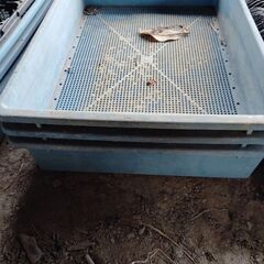 プラスチック製の穴あきコンテナ 農業 園芸の画像