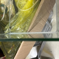 小さいガラス水槽の画像