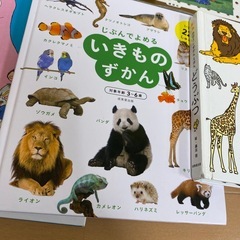 used 絵本図鑑まとめうりの画像