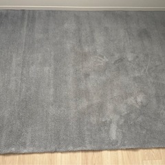 美品 IKEA KNARDRUP クナールドルップ ラグ 133x195 cmの画像