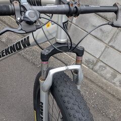 カッコいいカタチ(フレーム)のファットバイク！！の画像