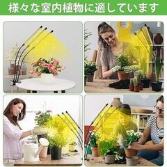 植物育成ライト 60W 植物ライト 126LED 室内栽培ランプ タイミング 定時機能（3H / 9H / 12H）3ヘッド付き 360°調節可能 多肉植物育成 家庭菜園 室内園芸 水草栽培　 新品未使用　高品質　仕入れ　問屋価格　卸価格　倒産品　まとめ買い歓迎　卸　おろし　卸し　アマゾン　amazon　引き上げ品　倒産品　ネット商材　フリマ商材　景品　コンペ　忘年会　新年会　クリスマス会　新品　未使用の画像