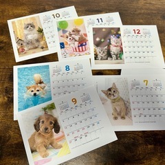 2026 カレンダー　かわいい子犬＆子猫の画像