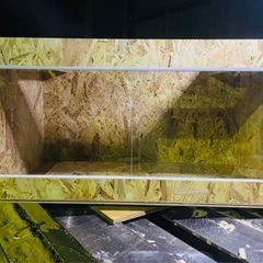 フトアゴ　爬虫類　ケージ　ライト　セットの画像