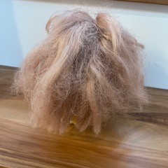 メルちゃんの画像