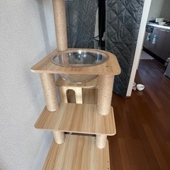 ［決まりました］キャットタワーの画像