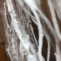 【未使用】ウェルカムツリー&ライト　1セットの画像