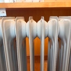 AEG 1310 オイルヒーターの画像