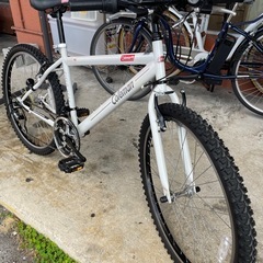 【自転車】【マウンテンバイク】【26インチ】【コールマン】【管理番号12712】Sの画像