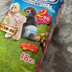 マナーウェア女の子用の画像