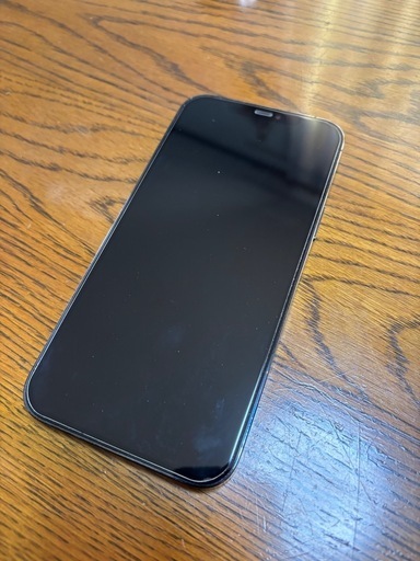 iPhone12ProMax256GB