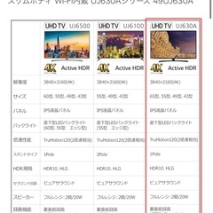  LG 49V型 4K対応 液晶テレビ  液晶テレビ保護パネル付き（厚め)の画像