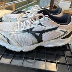 アシックス　25センチシューズの画像