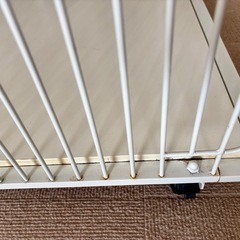 エクステイル extail ワイド アクリル ペットケージの画像