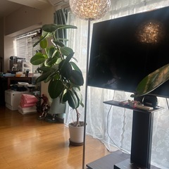 KARTELL オシャレ照明美品の画像