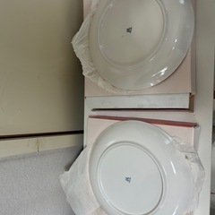 中皿2枚組　たちきちの画像