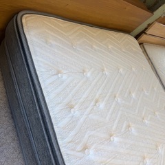 実売5万　シングルマットレス　ニトリ　Ｎスリープ2 　ハードcrの画像