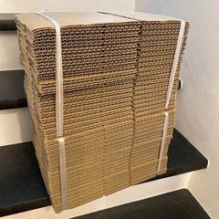 【新品未使用】50サイズダンボール　の画像